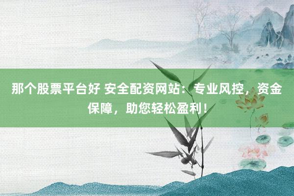 那个股票平台好 安全配资网站：专业风控，资金保障，助您轻松盈利！