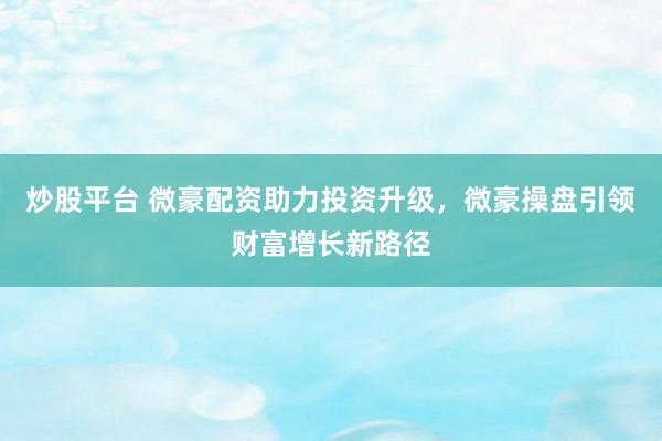 炒股平台 微豪配资助力投资升级，微豪操盘引领财富增长新路径