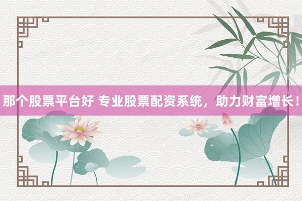 那个股票平台好 专业股票配资系统，助力财富增长！