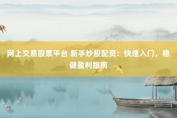 网上交易股票平台 新手炒股配资：快速入门，稳健盈利指南