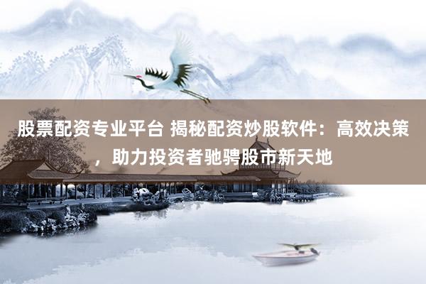股票配资专业平台 揭秘配资炒股软件：高效决策，助力投资者驰骋股市新天地