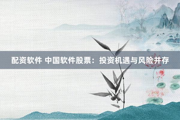 配资软件 中国软件股票：投资机遇与风险并存