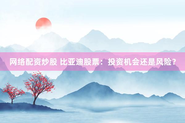 网络配资炒股 比亚迪股票：投资机会还是风险？