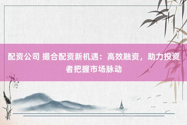 配资公司 撮合配资新机遇：高效融资，助力投资者把握市场脉动