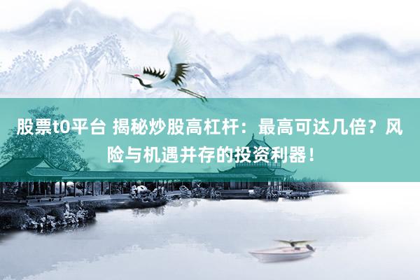 股票t0平台 揭秘炒股高杠杆：最高可达几倍？风险与机遇并存的投资利器！