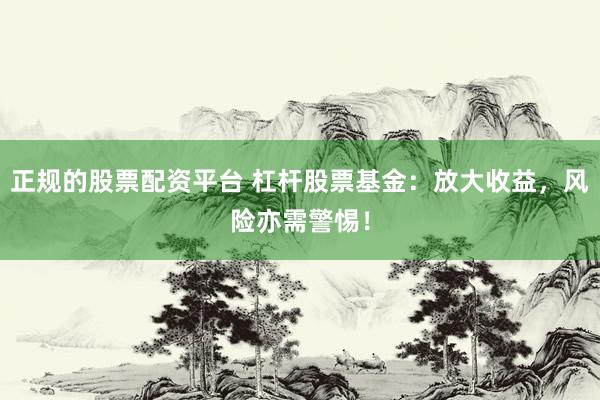 正规的股票配资平台 杠杆股票基金：放大收益，风险亦需警惕！