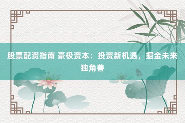股票配资指南 豪极资本：投资新机遇，掘金未来独角兽