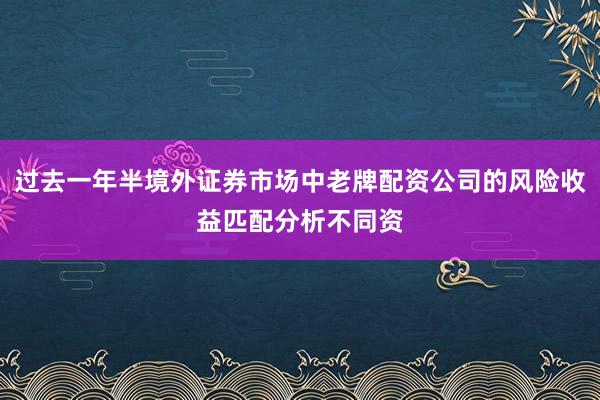 过去一年半境外证券市场中老牌配资公司的风险收益匹配分析不同资