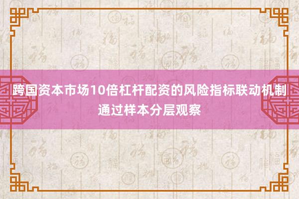 跨国资本市场10倍杠杆配资的风险指标联动机制通过样本分层观察