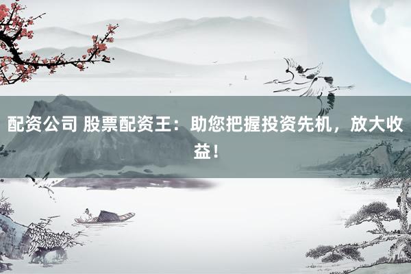 配资公司 股票配资王:助您把握投资先机,放大收益!