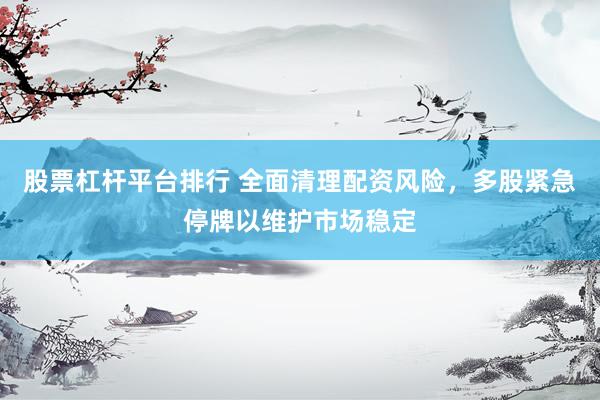 股票杠杆平台排行 全面清理配资风险，多股紧急停牌以维护市场稳定