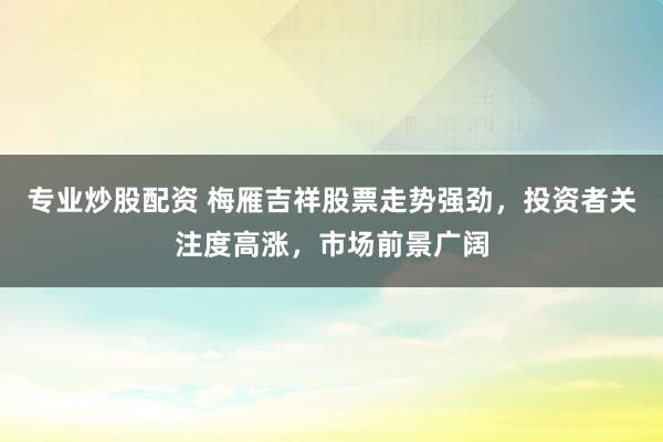 专业炒股配资 梅雁吉祥股票走势强劲，投资者关注度高涨，市场前景广阔