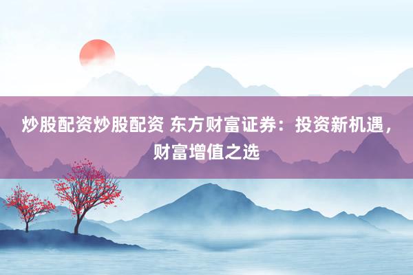炒股配资炒股配资 东方财富证券：投资新机遇，财富增值之选